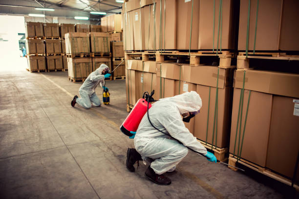 Best Termite Control Services  in Atwood, IL