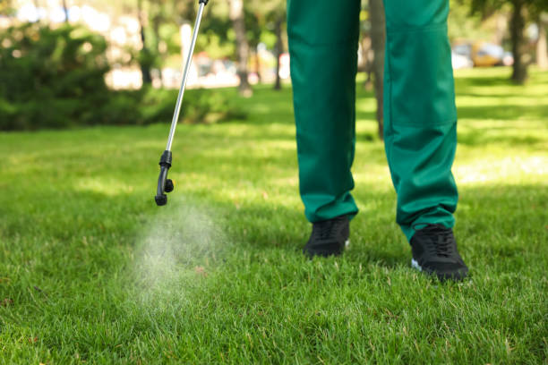 Best Wasp Removal Services  in Atwood, IL