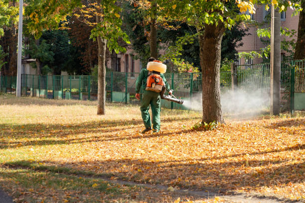 Best Wildlife Control Services  in Atwood, IL
